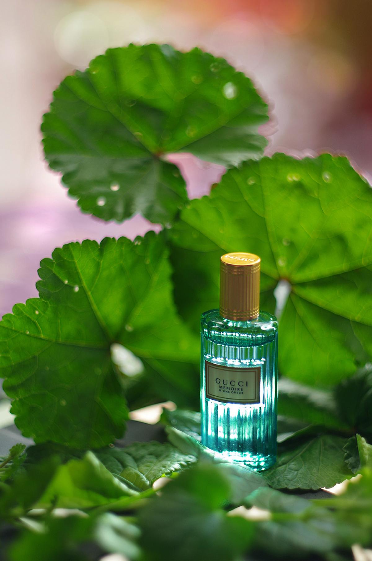 harris reed gucci mémoire d une odeur