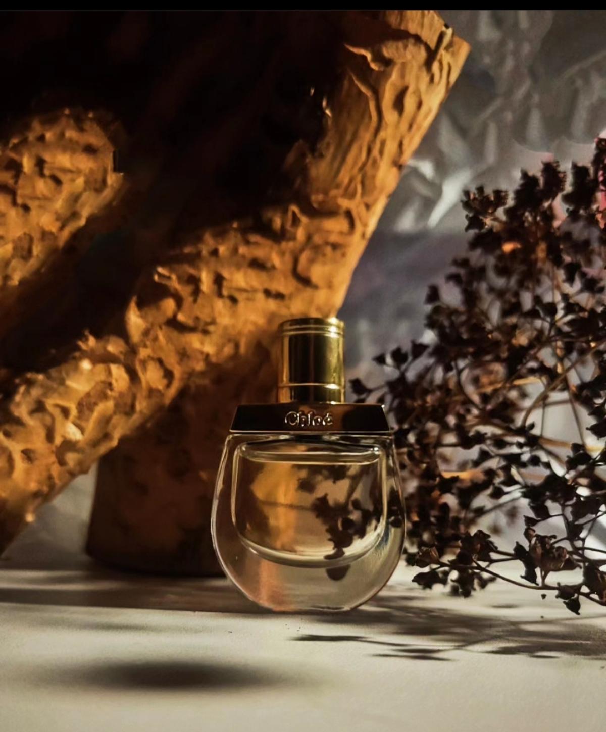 Nomade Jasmin Naturel Intense Chloé perfume - a new fragrance for women ...