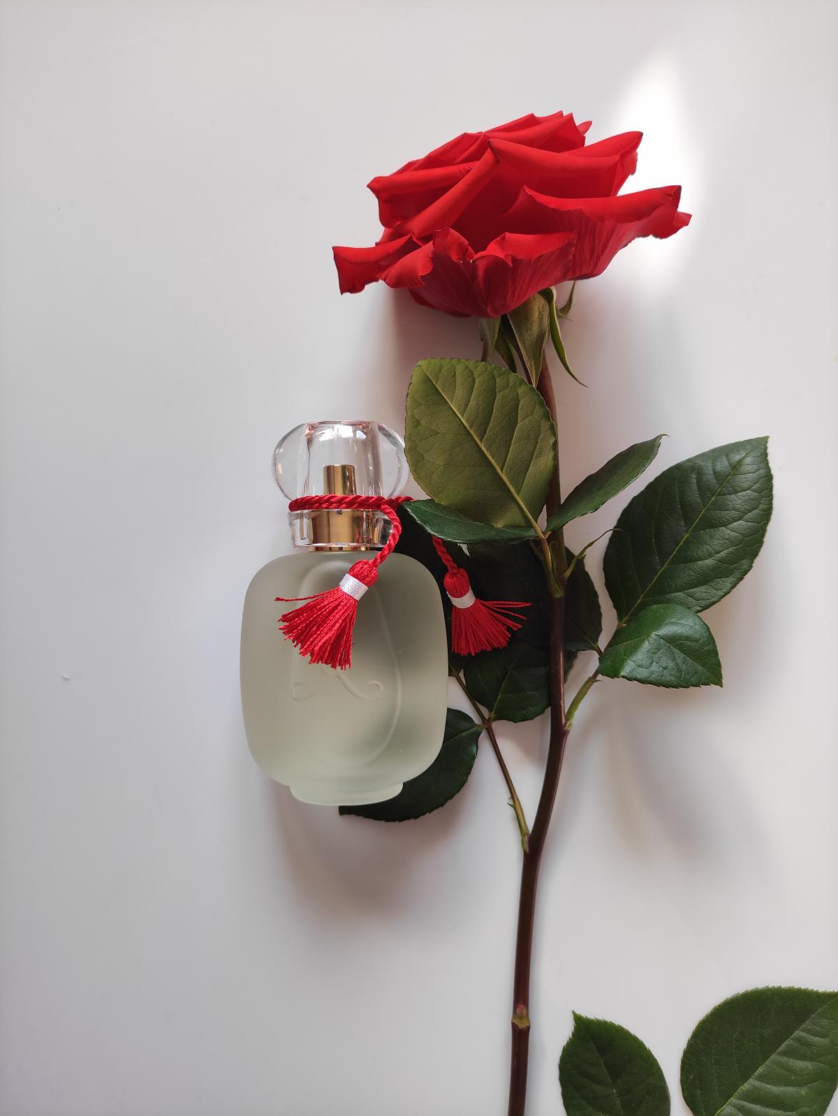 Rose Griotte Les Parfums de Rosine perfume - a fragrance for women and ...