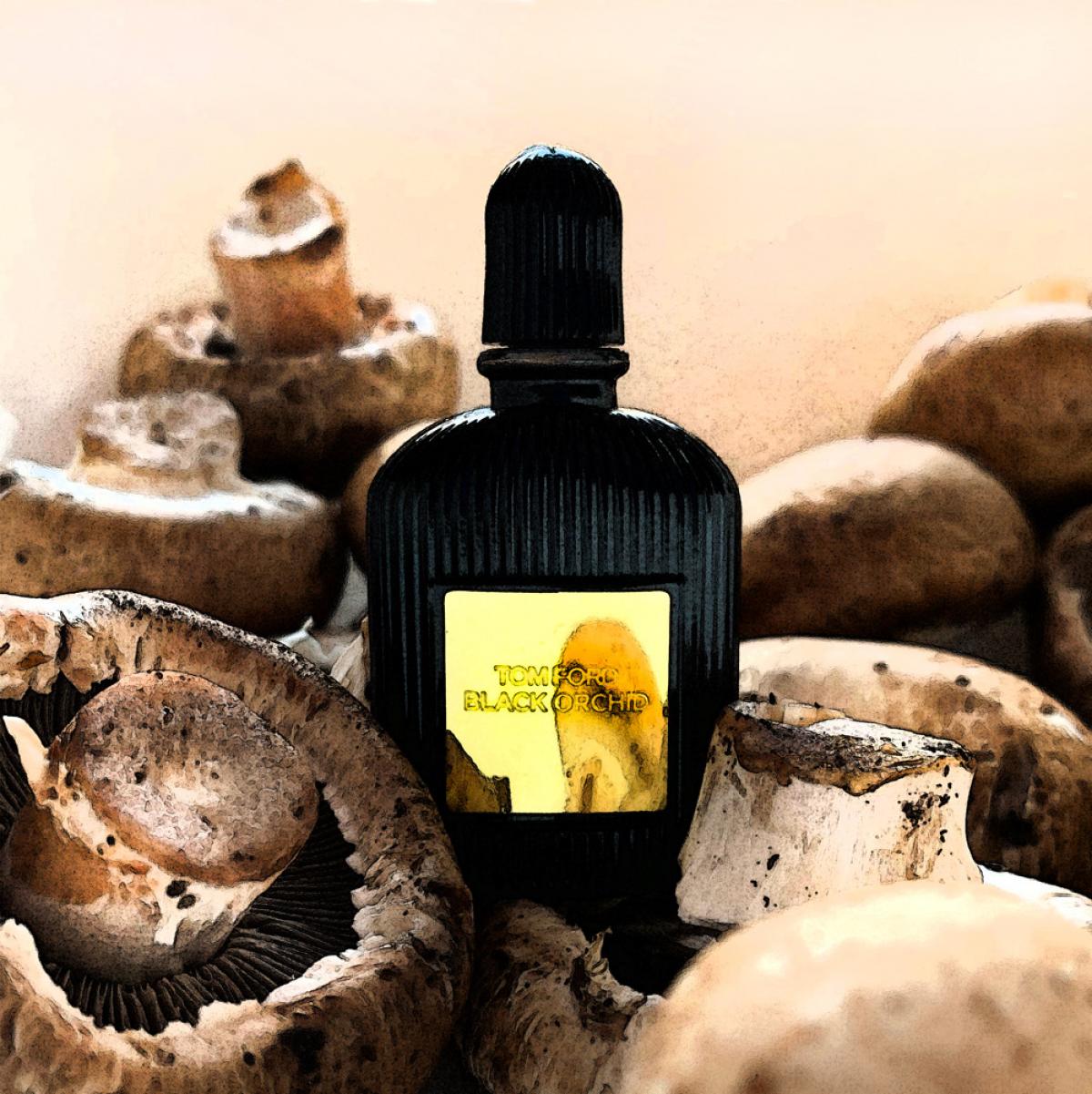 Black Orchid Tom Ford Parfum ein es Parfum für Frauen 2006