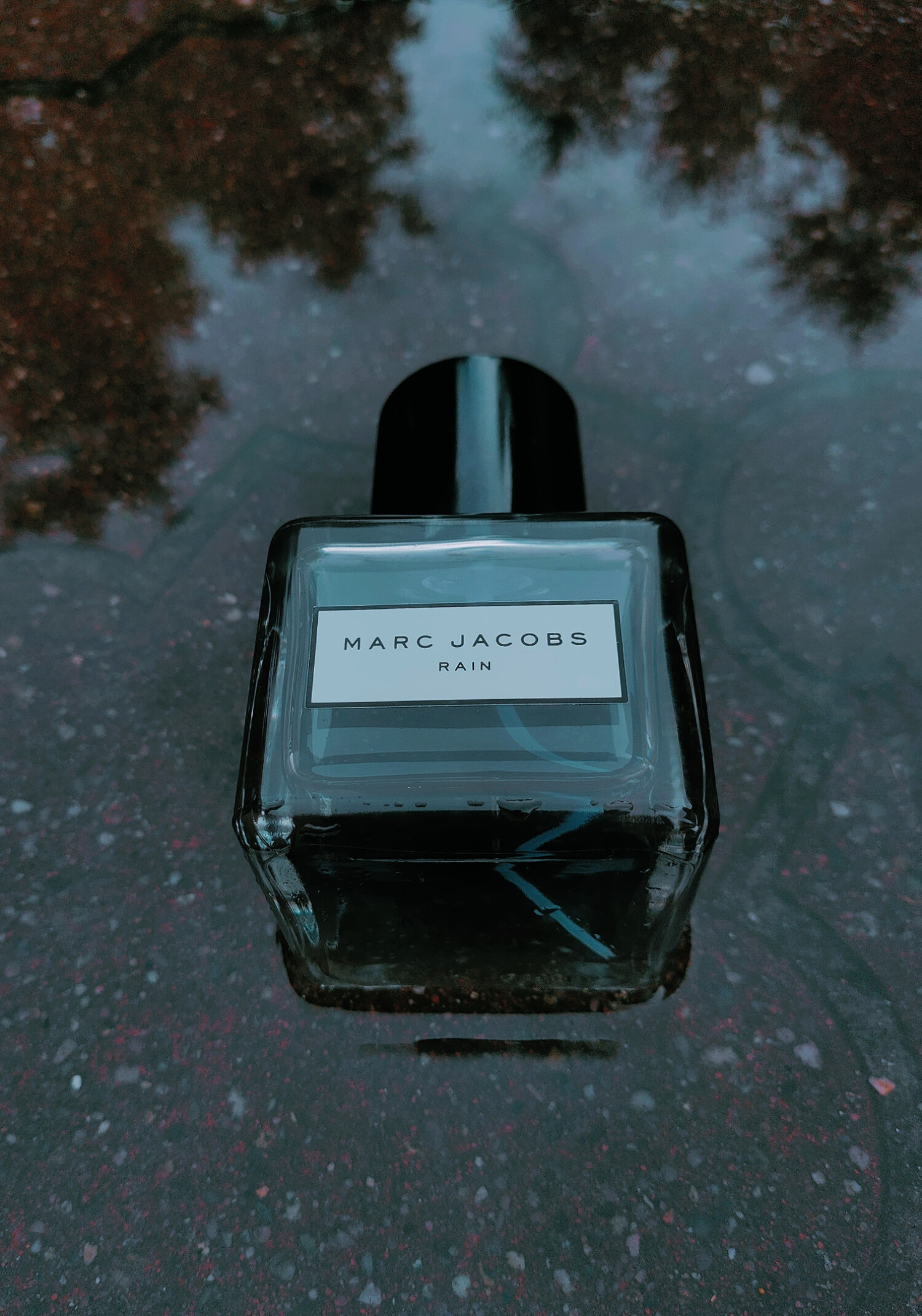 Marc Jacobs Rain Smell Fragrance Marc Jacobs Rain 100 Ml Fragrance