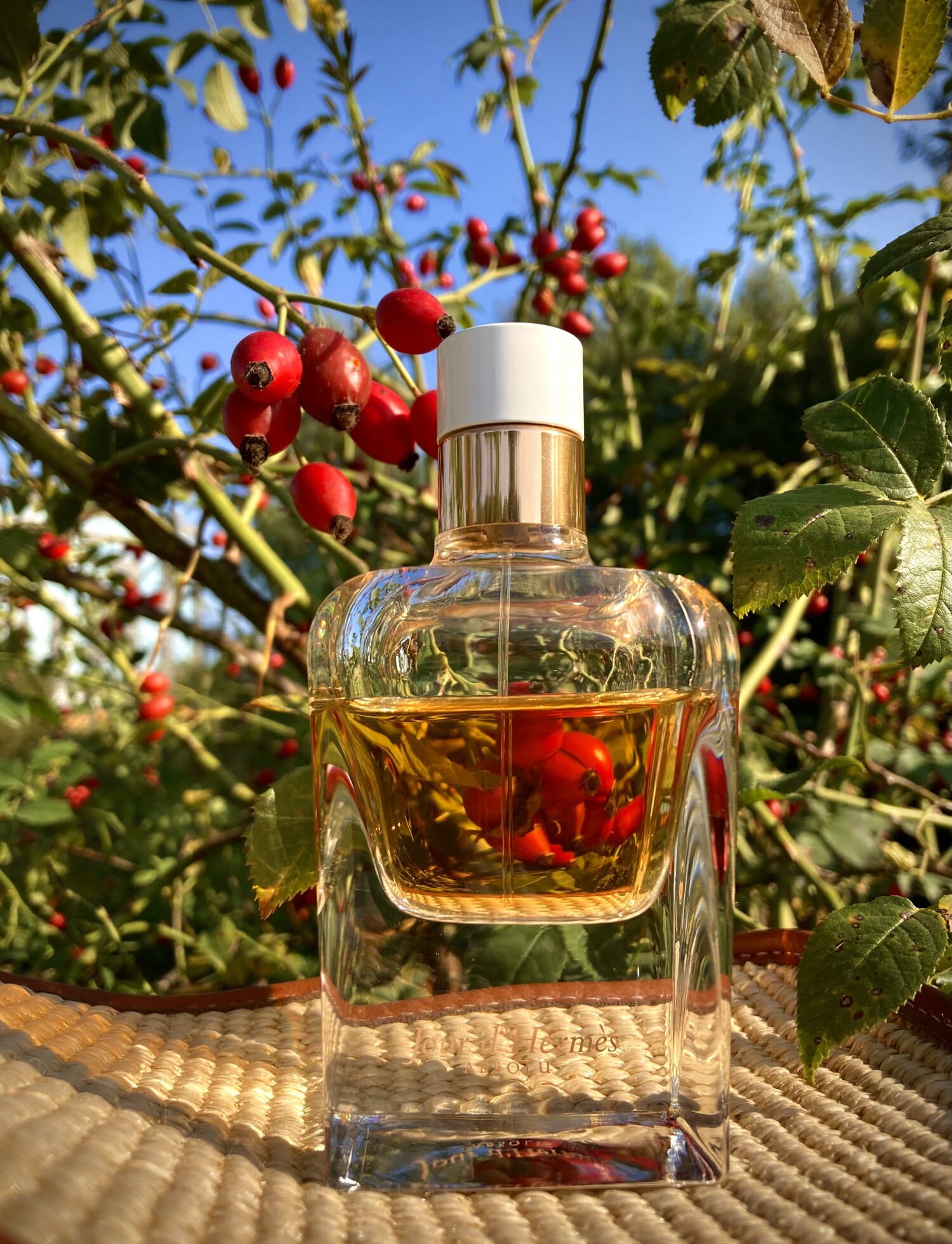 Jour d'Hermes Absolu Hermès perfume - a fragrance for women 2014