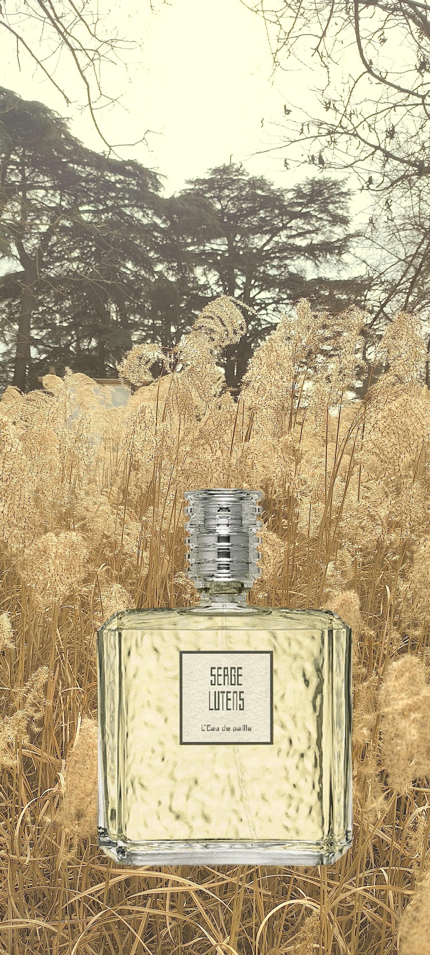L'Eau de Paille Serge Lutens 香水- 一款2019年中性香水
