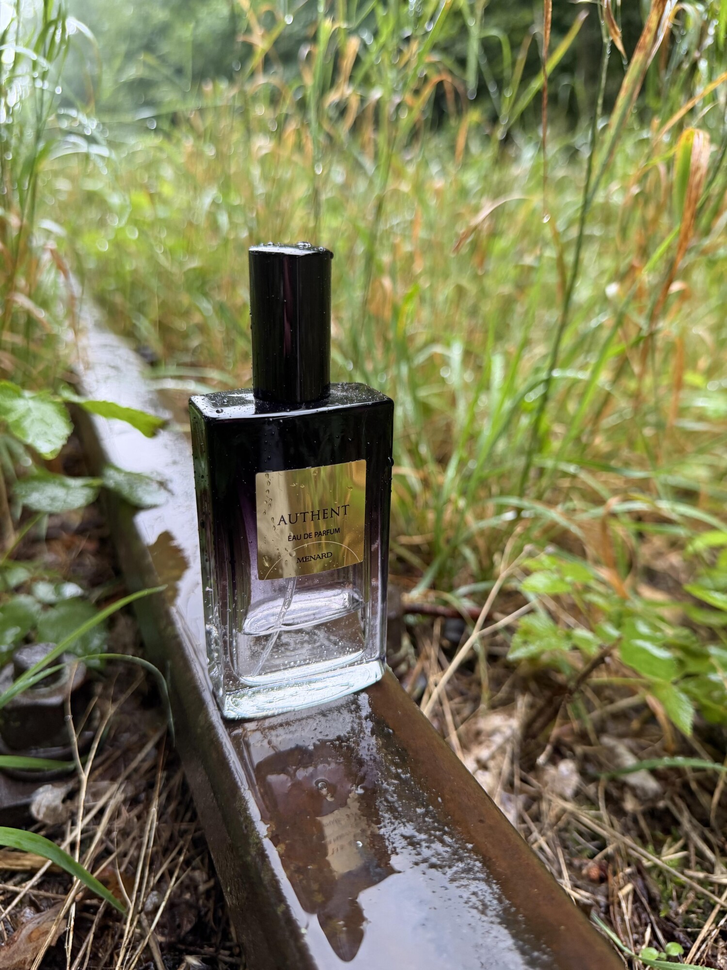 Authent Menard perfume - a fragrance for women 2012