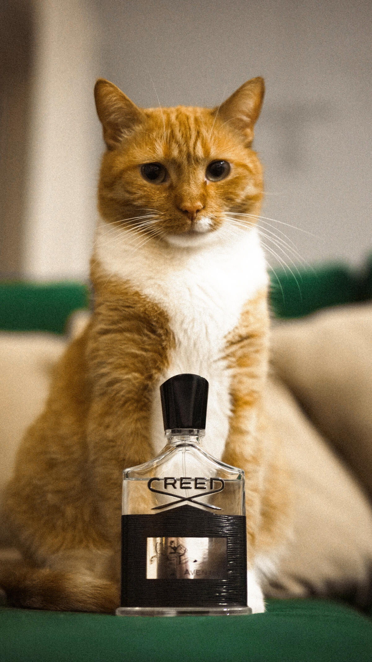 Aventus Creed Cologne - ein es Parfum für Männer 2010