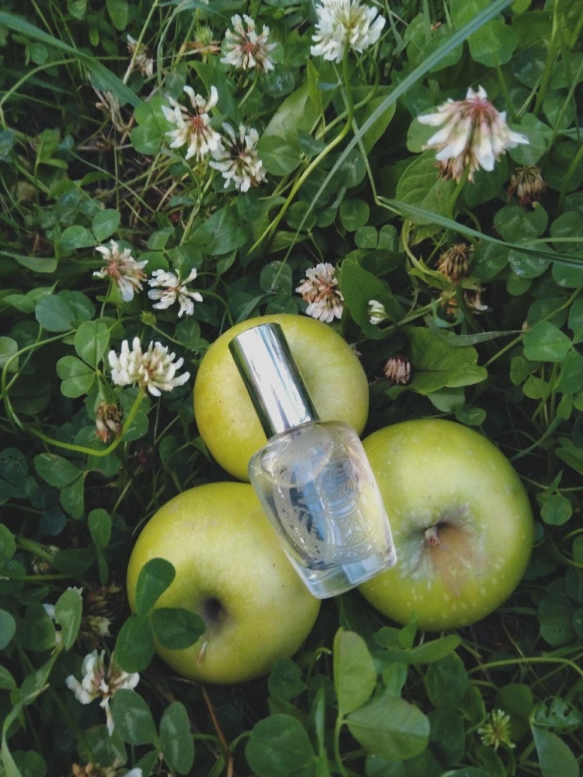Koza Dereza Коза Дереза Ladanika perfume - a new fragrance for women ...