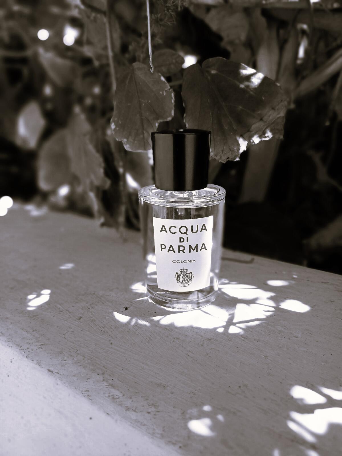 Acqua di Parma Colonia Acqua di Parma Parfum - ein es Parfum für Frauen ...