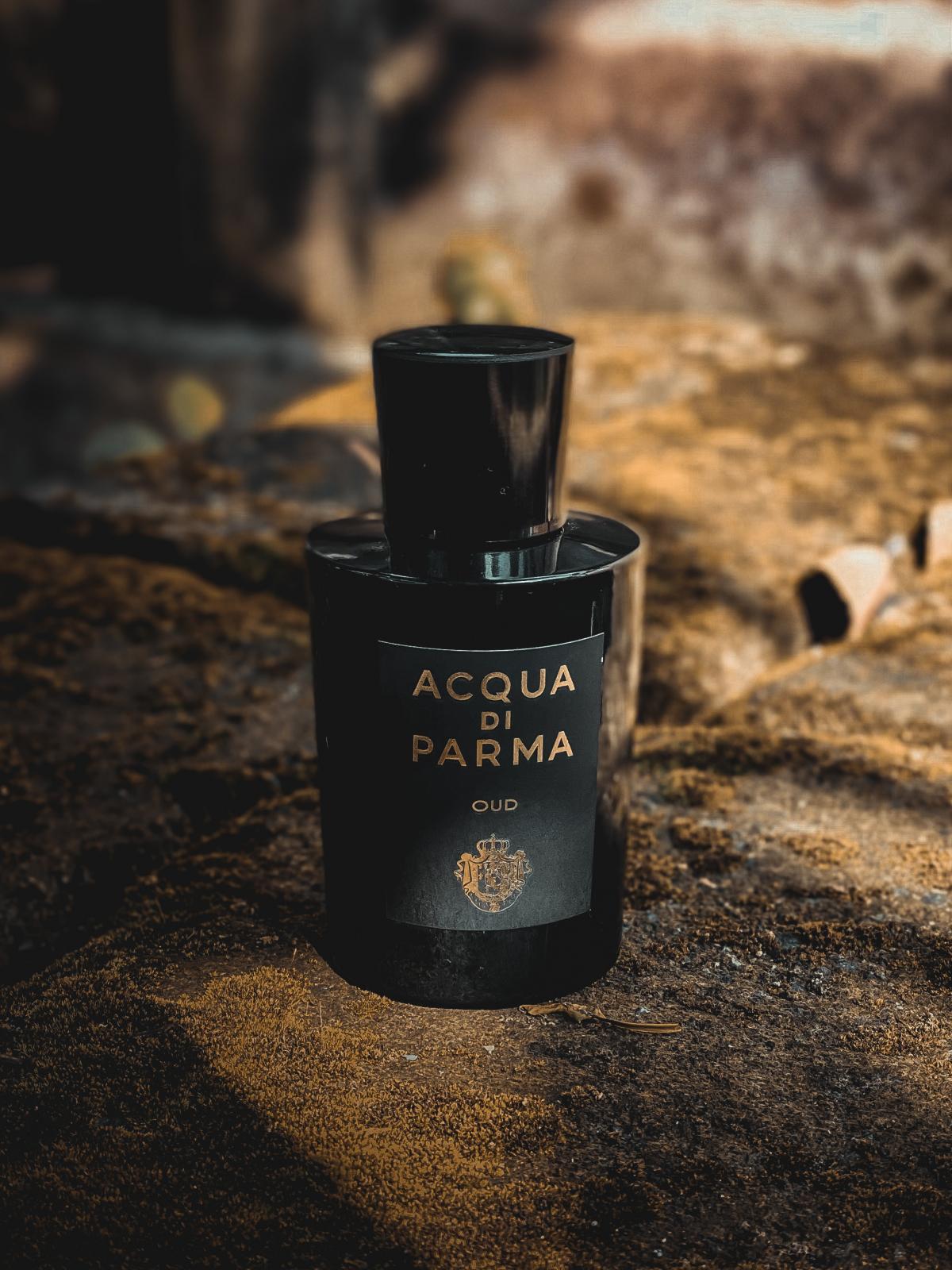 Acqua di Parma Oud EDP: A Challenging Review : r/fragrance