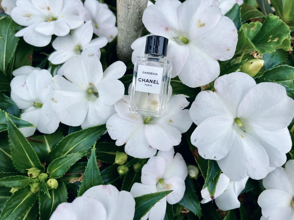 Gardénia Eau de Parfum Chanel perfume - a fragrance for women 2016
