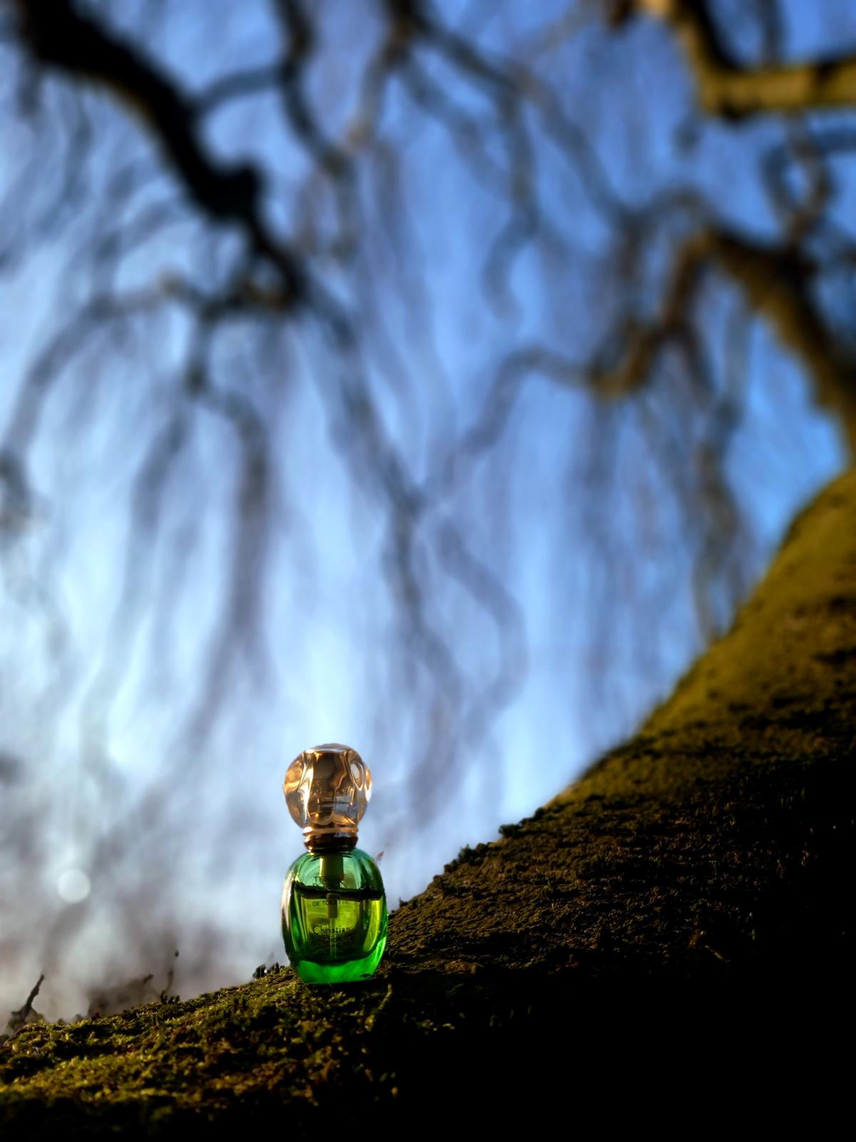 Tendre Poison Dior perfume - a fragrance for women 1994