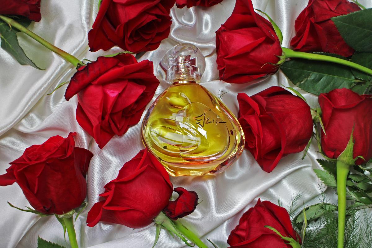 Izia Sisley perfume - a fragrance for women 2017