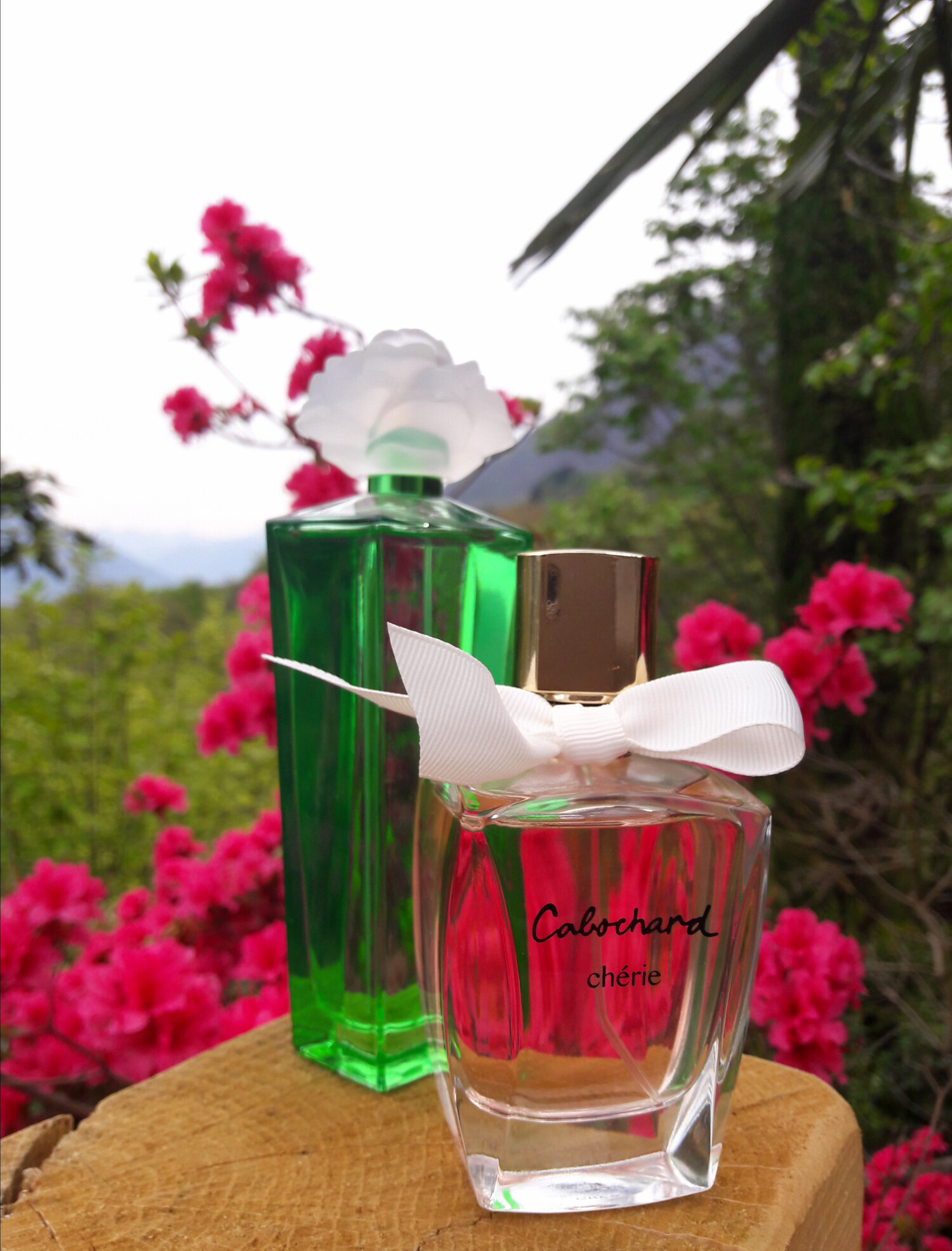 Gardenia by Elizabeth Taylor, 3.3 oz Eau De Parfum Spray for Women main image 1