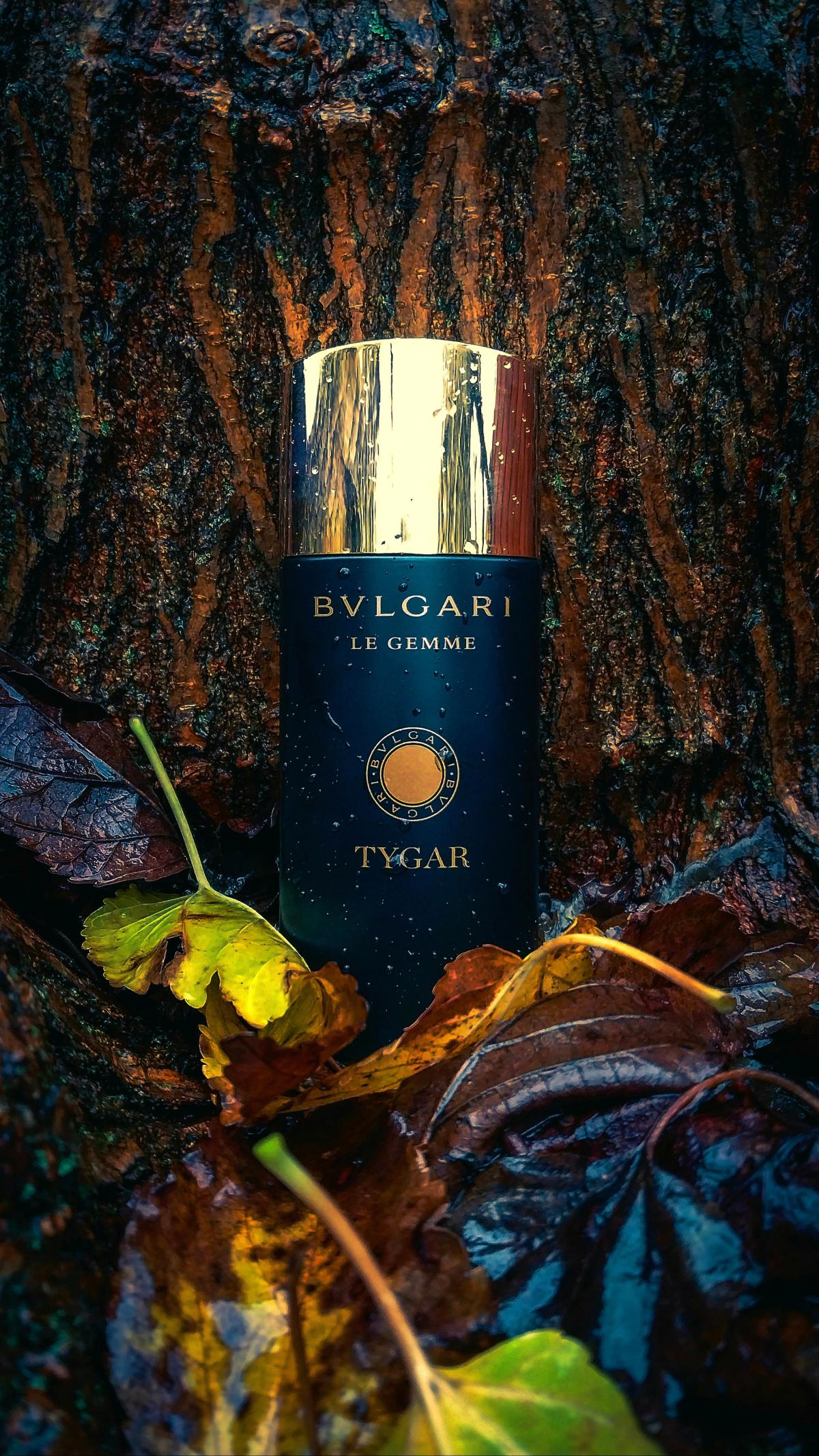 Tygar Bvlgari Kolonjska voda - parfem za muškarce 2016