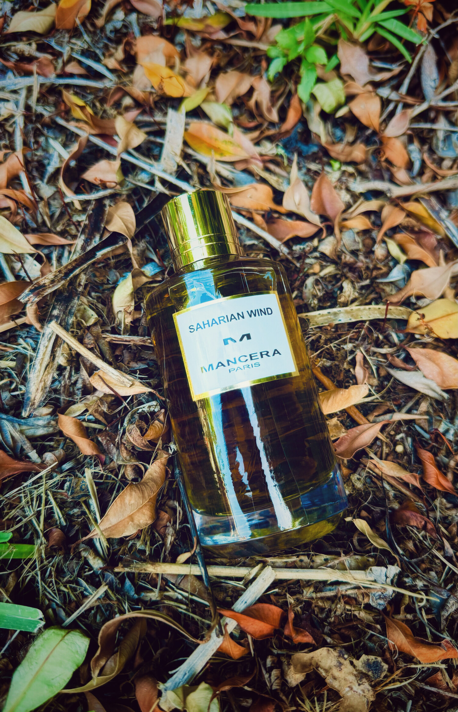 Saharian Saharian Wind Mancera perfume - a fragrance for women and men 2020