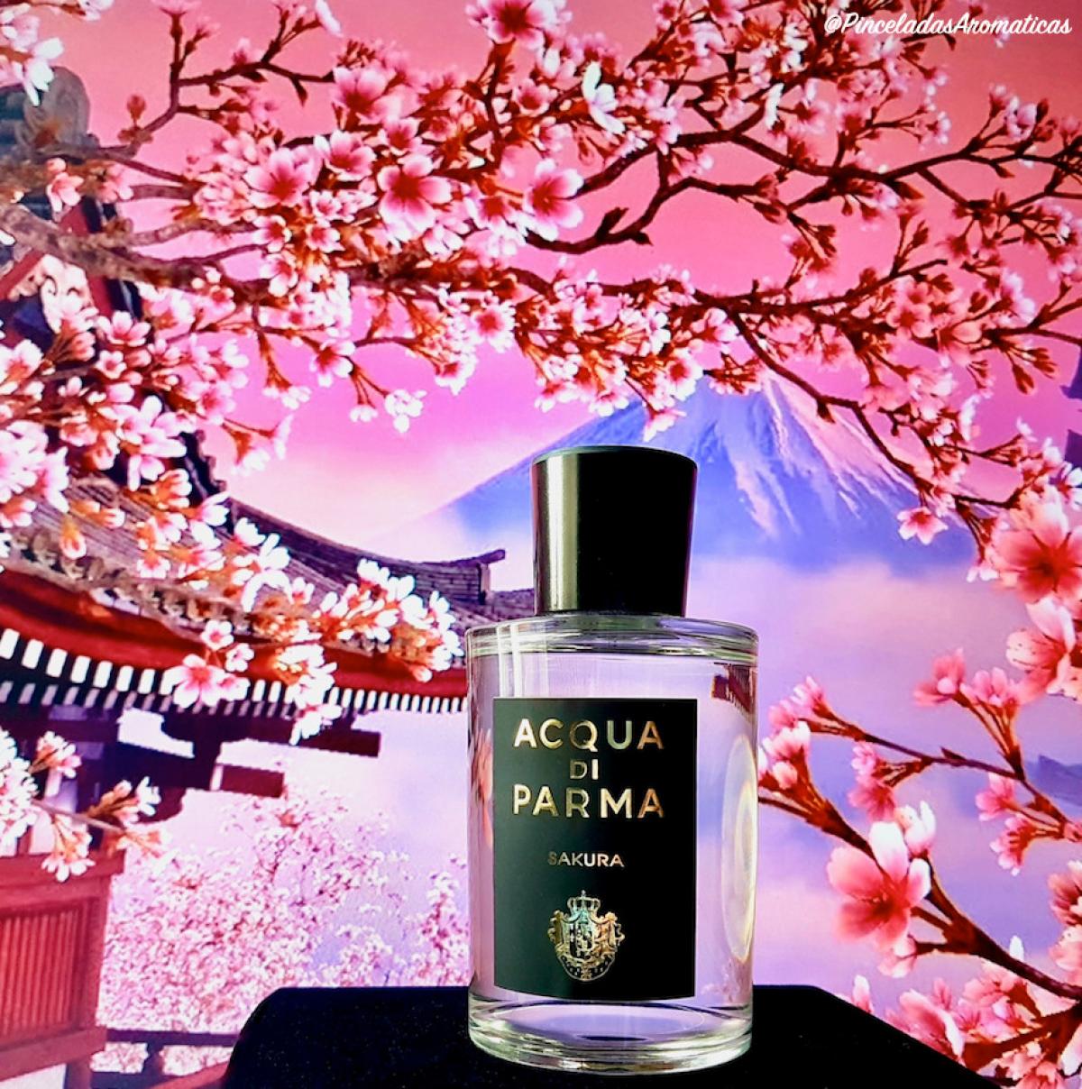 Сакура парфюм. Acqua di Parma Сакура. Akva Sakura духи. Sakura Aqua de Parma. Acqua di Parma Osmanthus 100ml.