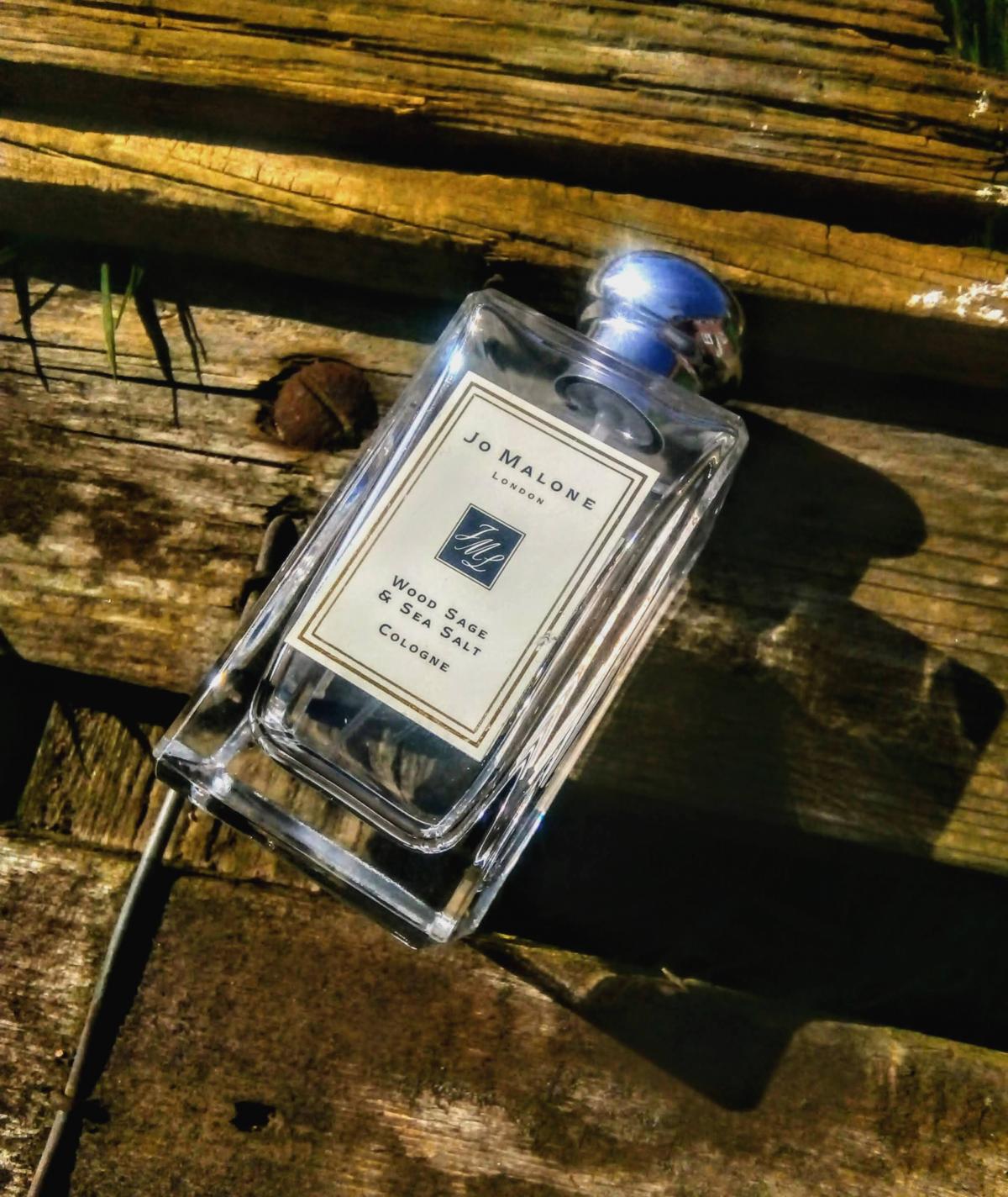 Wood sage sea. Jo Malone Wood Sage Sea Salt. Jo Malone духи женские Wood Sage Sea Salt. Jo Malone Wood Sage & Sea Salt Gold. 7222f аромат направления Wood Sage&Sea Salt (Jo Malone).