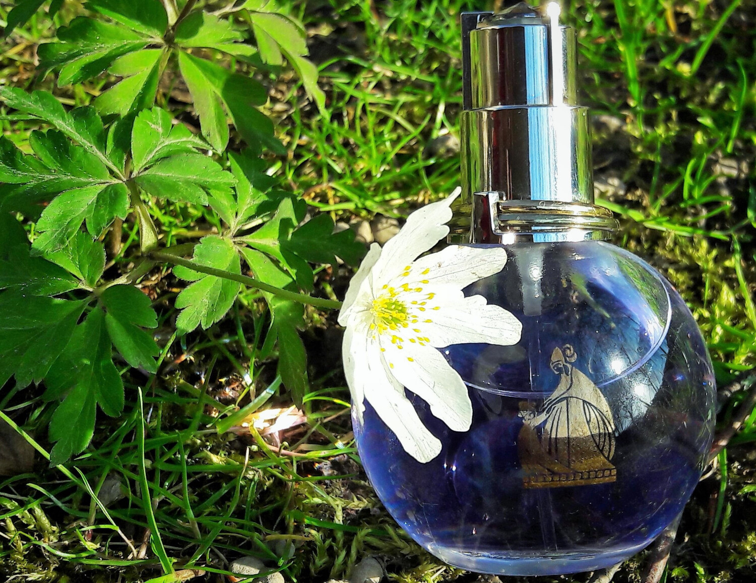 Eclat d’Arpège Lanvin perfume - a fragrance for women 2002