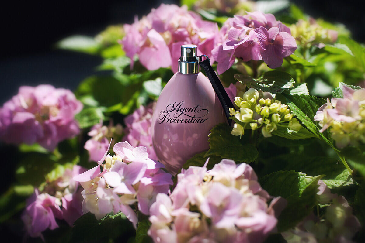 Agent Provocateur Agent Provocateur perfume - a fragrance for women 2000