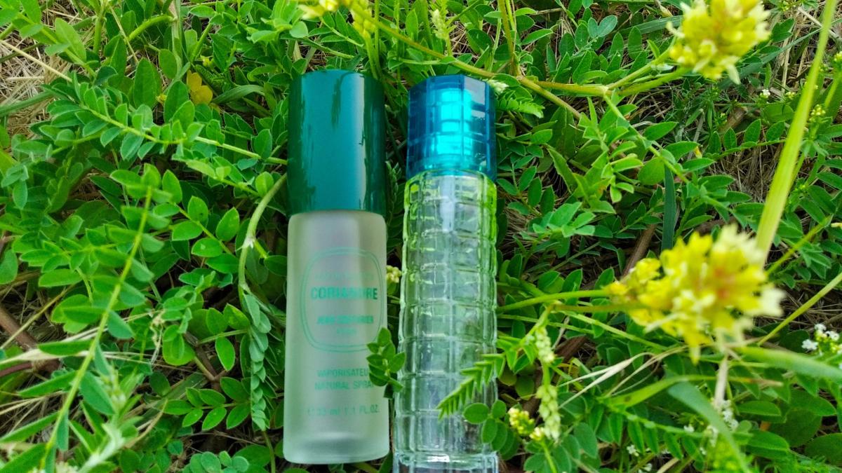 City Jungle Oriflame parfem - parfem za žene 2009