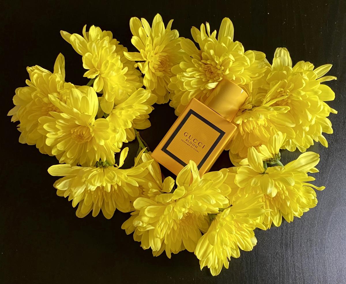 Profumo Di Fiori Significato Gucci Bloom Profumo Di Fiori Gucci perfume - a fragrance for women 2020