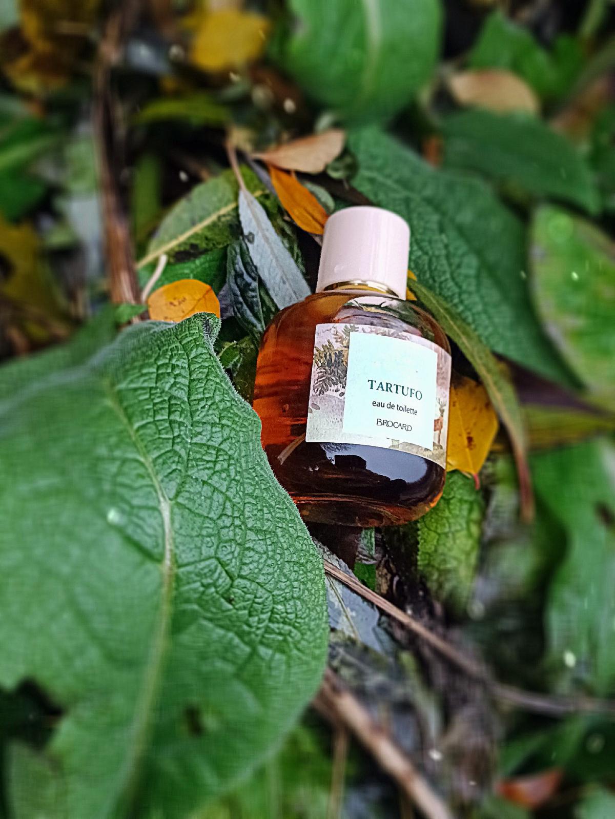 Tartufo Brocard perfume - a new fragrance for women and men 2022