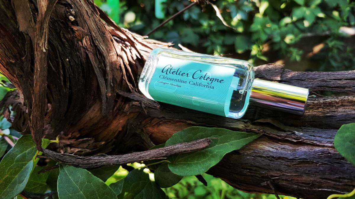 Clémentine California Atelier Cologne perfume - a fragrance for women ...