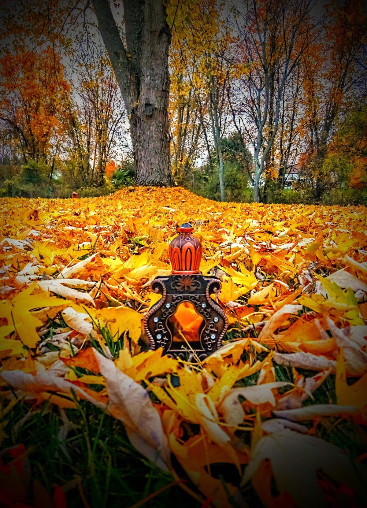 Ghroob Arabian Oud perfume a fragrance for women and men