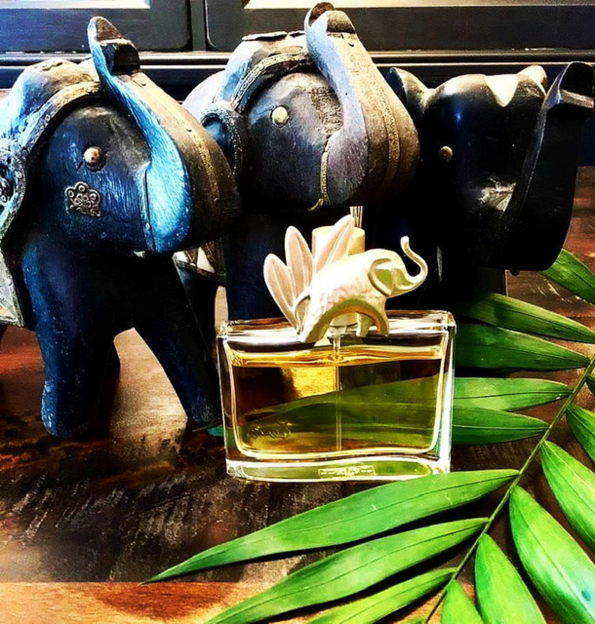 Kenzo Jungle L'Elephant Kenzo perfume a fragrance for women 1996