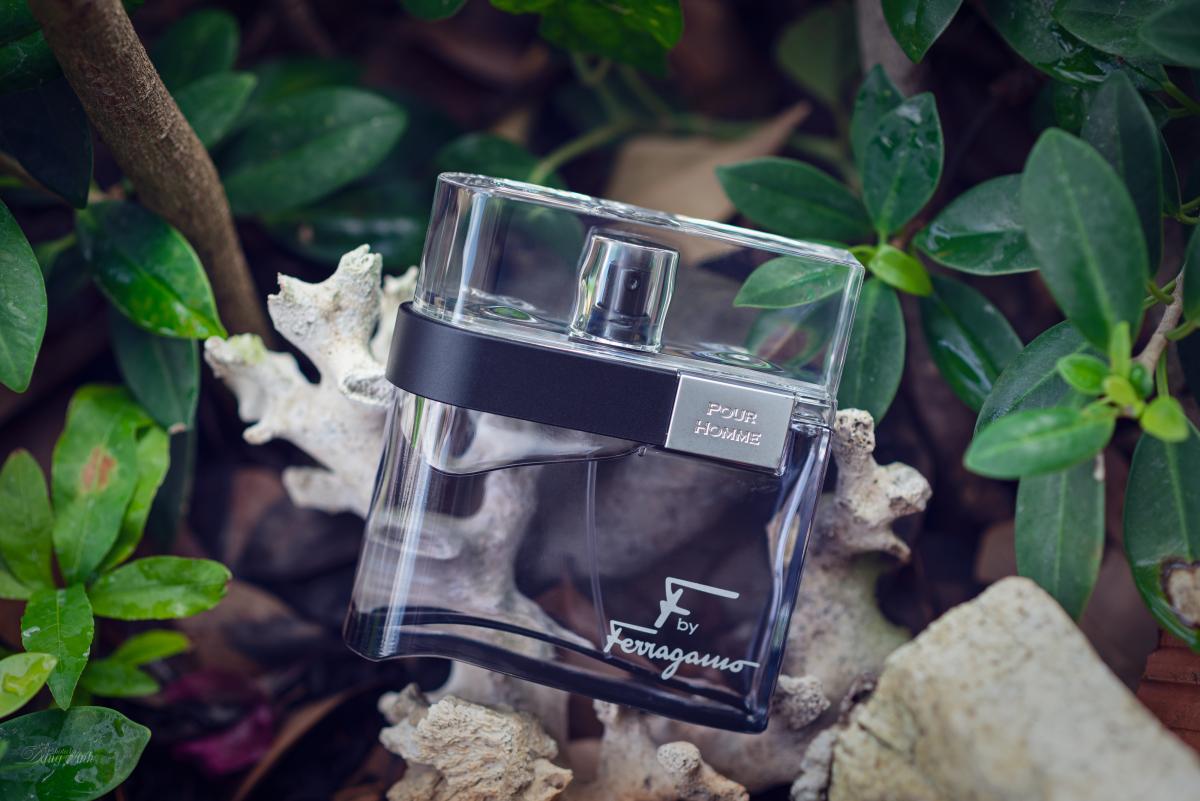 salvatore ferragamo black fragrantica