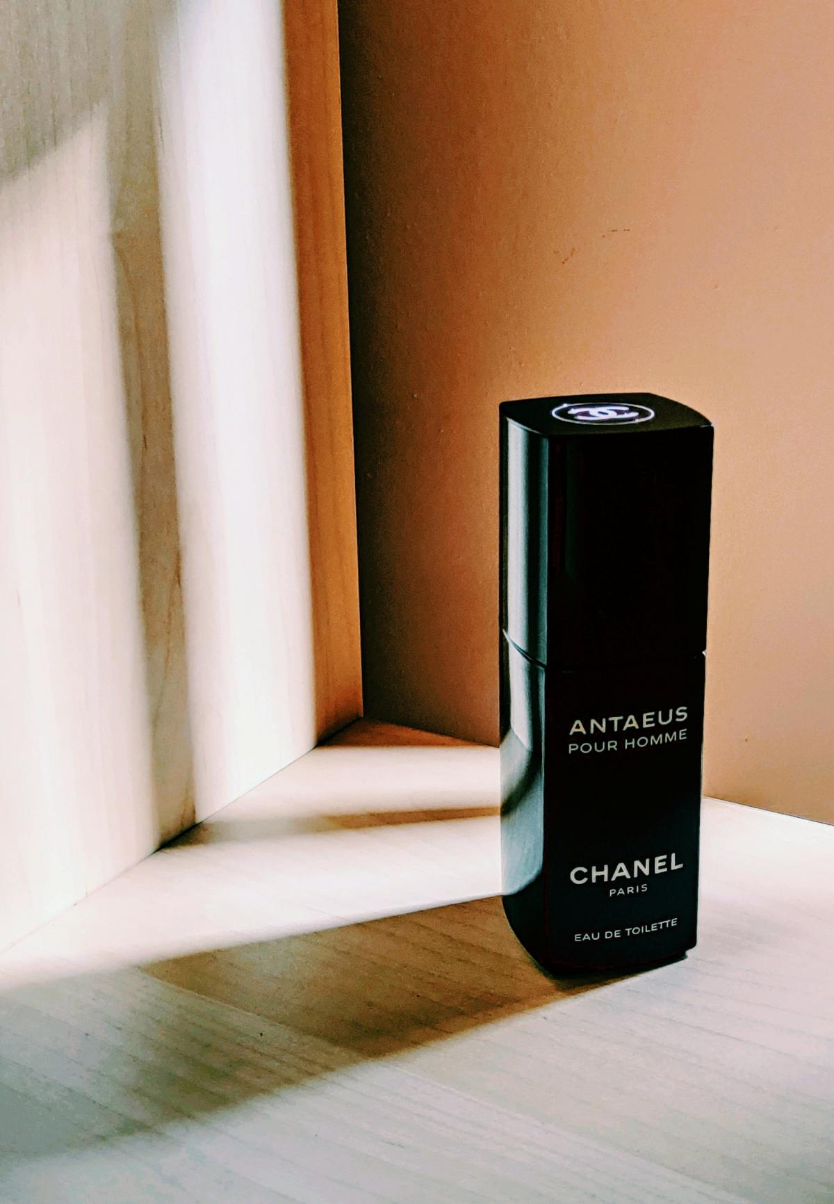 Antaeus Chanel cologne a fragrance for men 1981