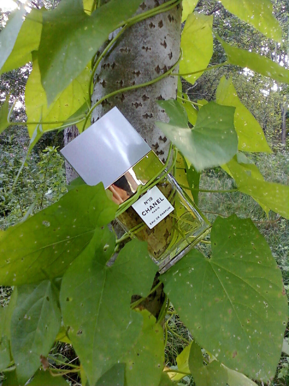 Chanel No 19 Eau de Parfum Chanel аромат — аромат для женщин