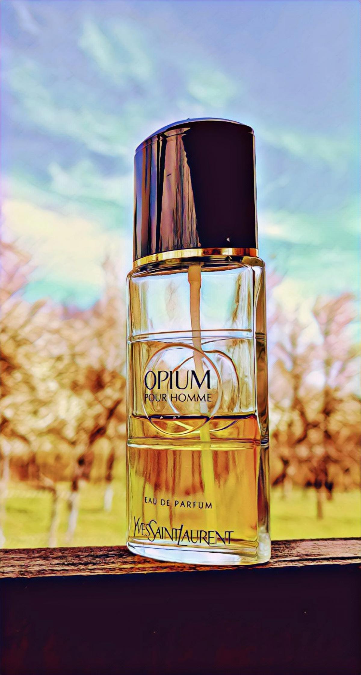 Opium Pour Homme Eau de Parfum Yves Saint Laurent Cologne - ein es ...