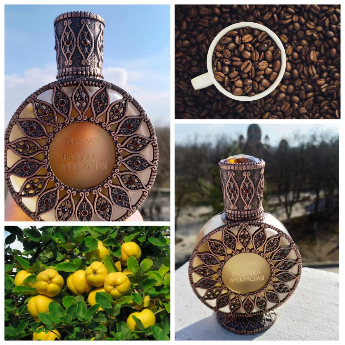 Vasilisa Prekrasnaya Василиса Прекрасная Brocard perfume - a new ...