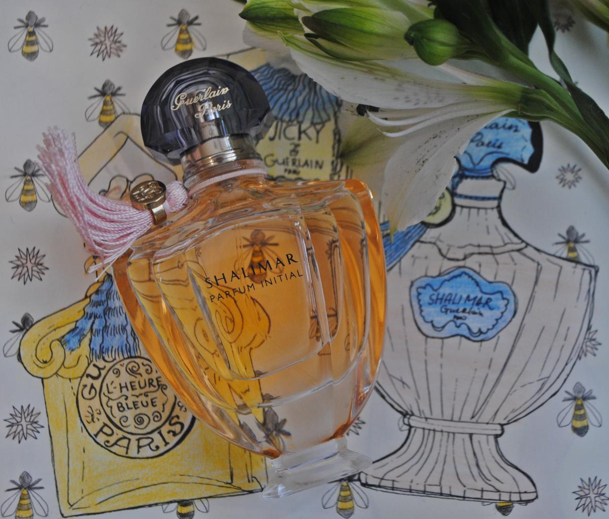 Yves saint laurent moroccan discount frostedglass and silver bottle