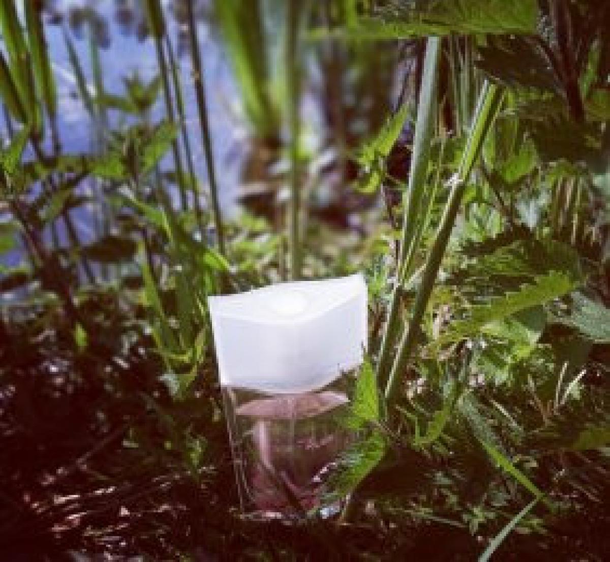 Silky Soft Musk Avon perfume - a fragrance for women 2016