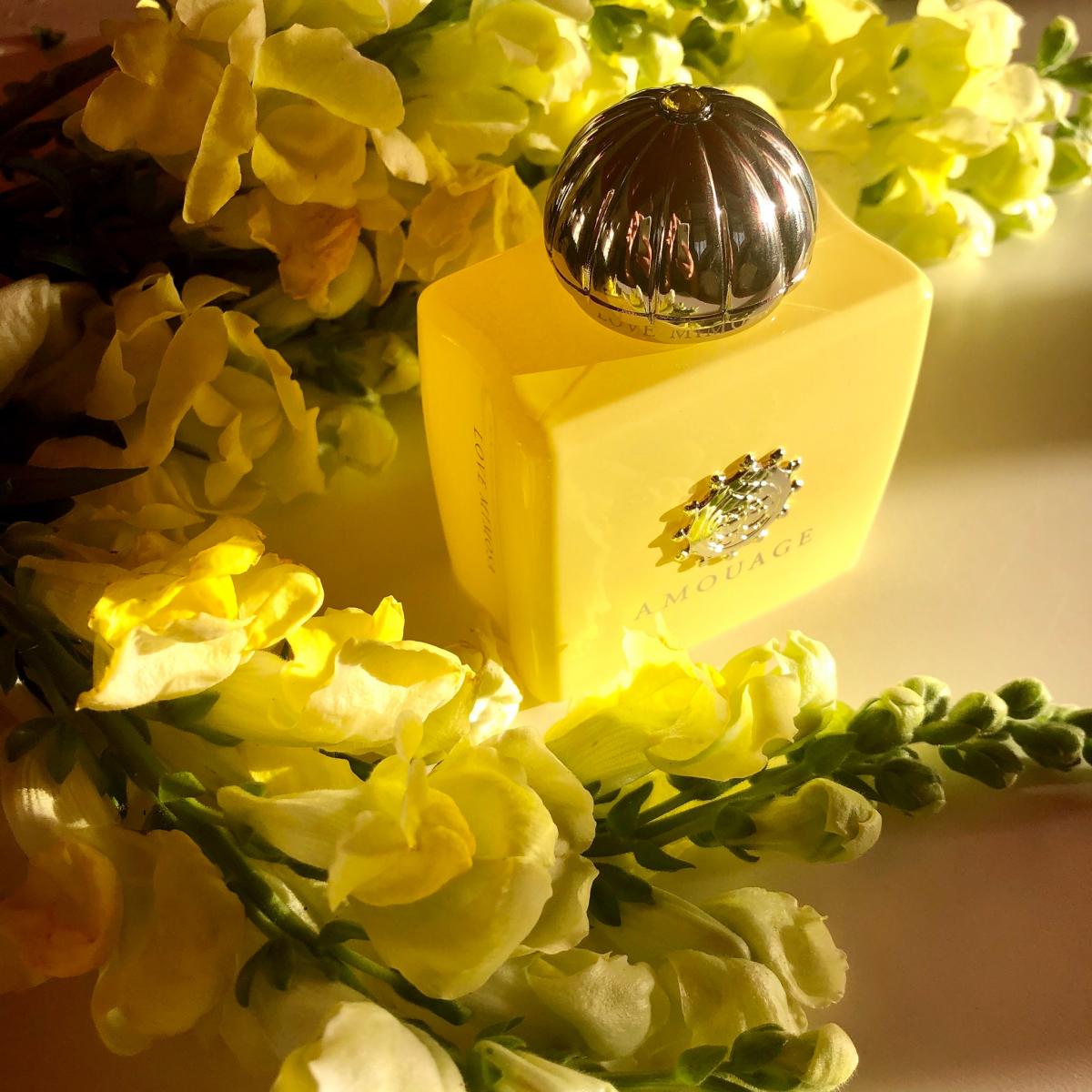 Love Mimosa Amouage parfum - un nouveau parfum pour femme 2019