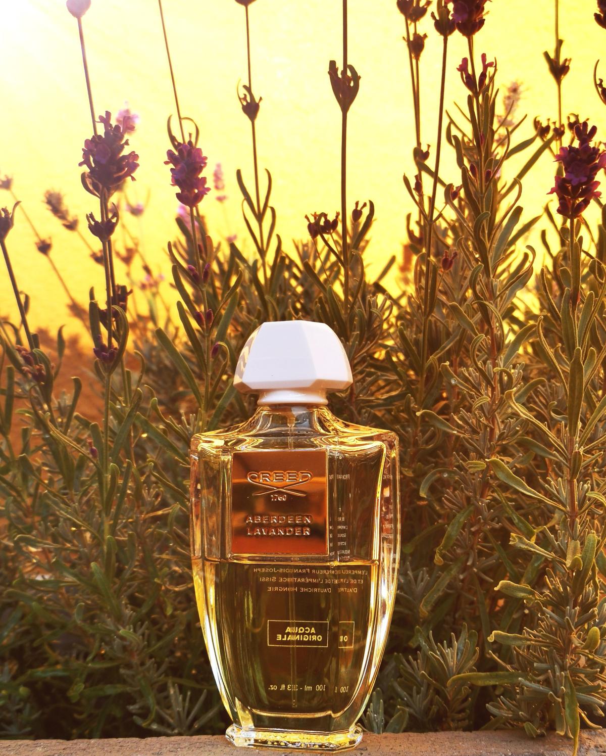 Aberdeen Lavender Creed perfume - a fragrance for women and men 2014