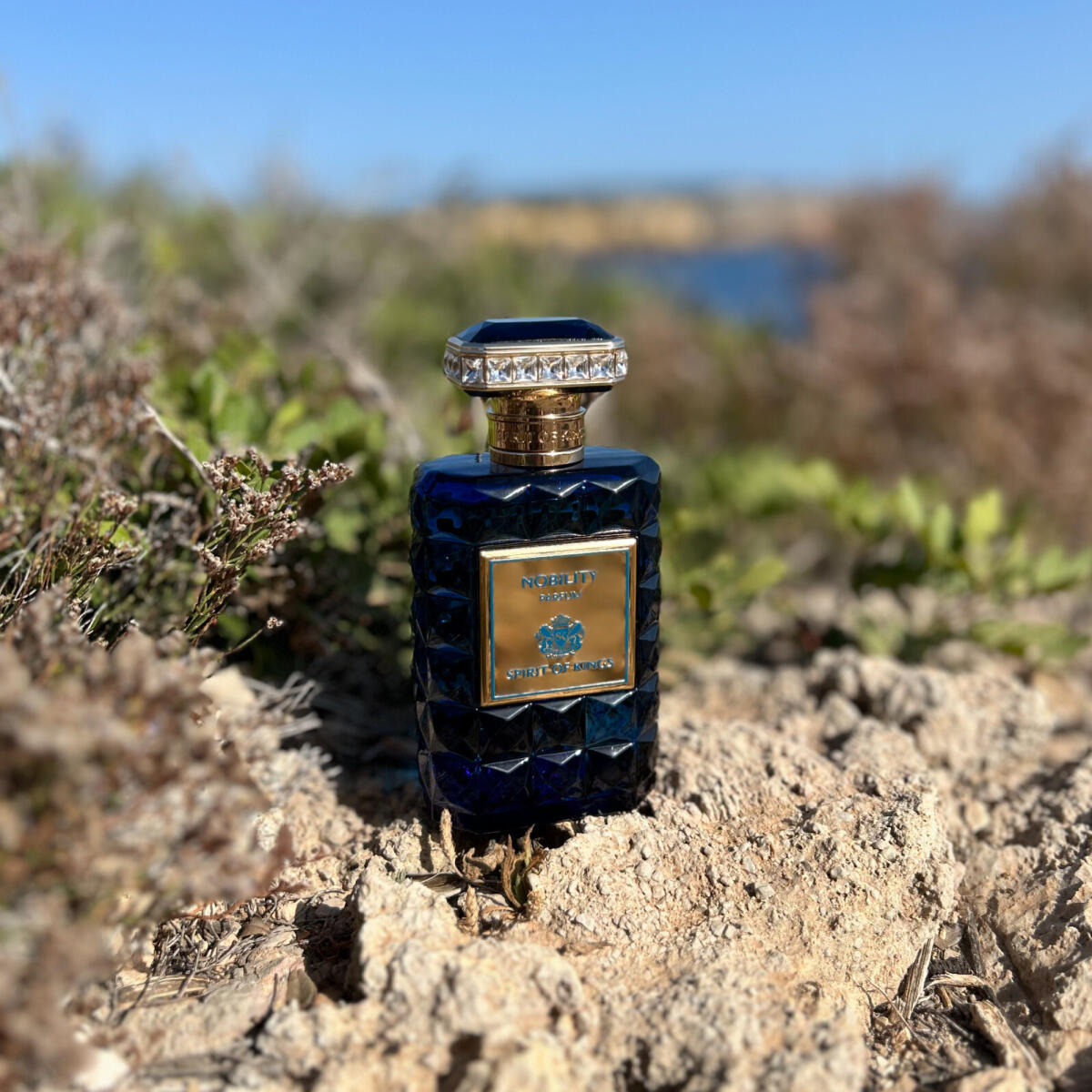 Nobility Spirit Of Kings аромат — новый аромат для мужчин и женщин 2022