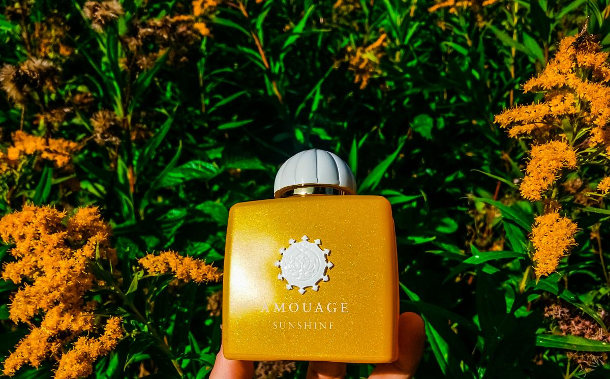 Саншайн амуаж женский. Amouage Sunshine. Amouage Sunshine woman. Амуаж духи Саншайн. Духи Амуаж Саншайн женские.