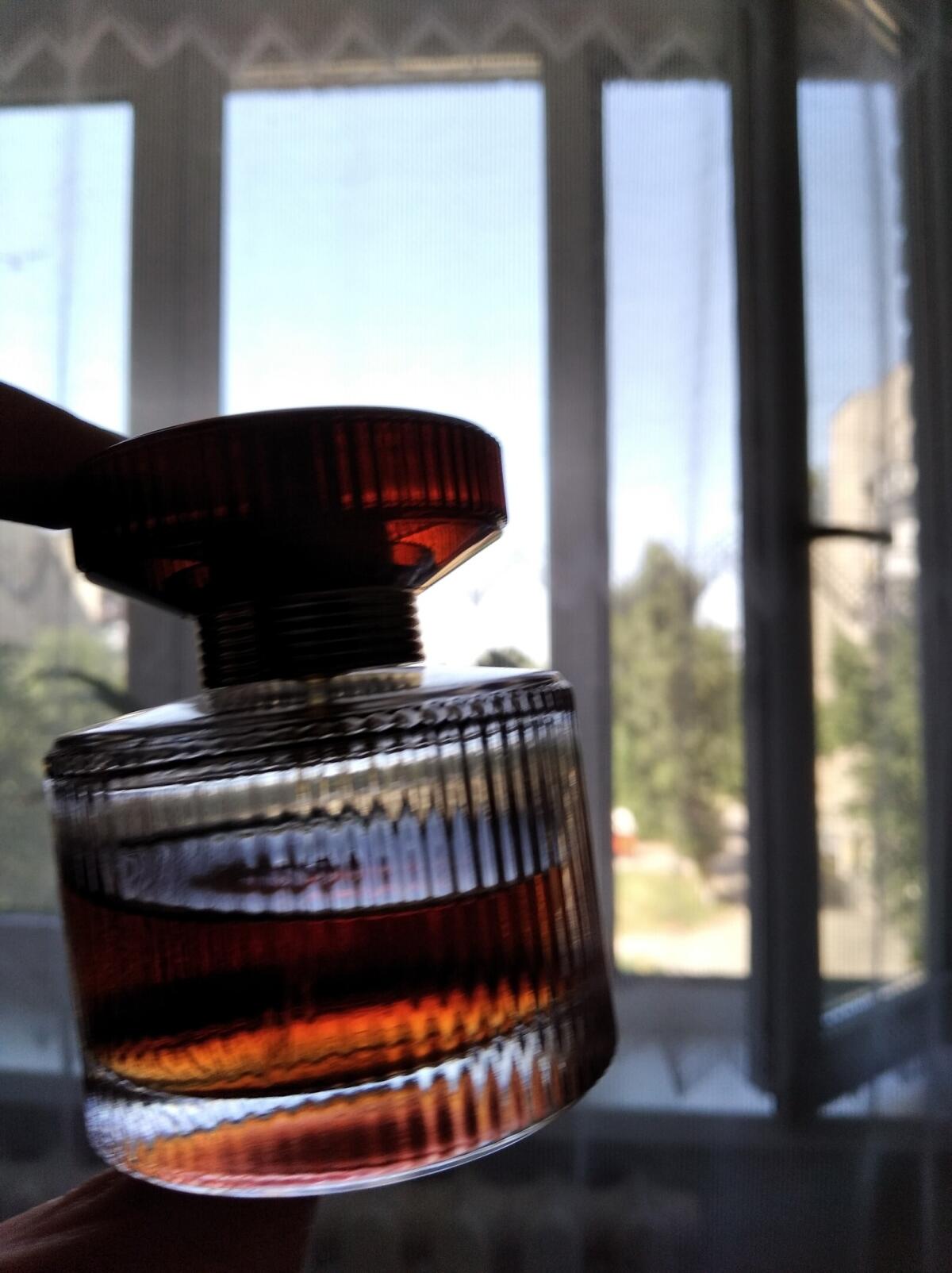 Amber Elixir Oriflame parfem - parfem za žene 2009