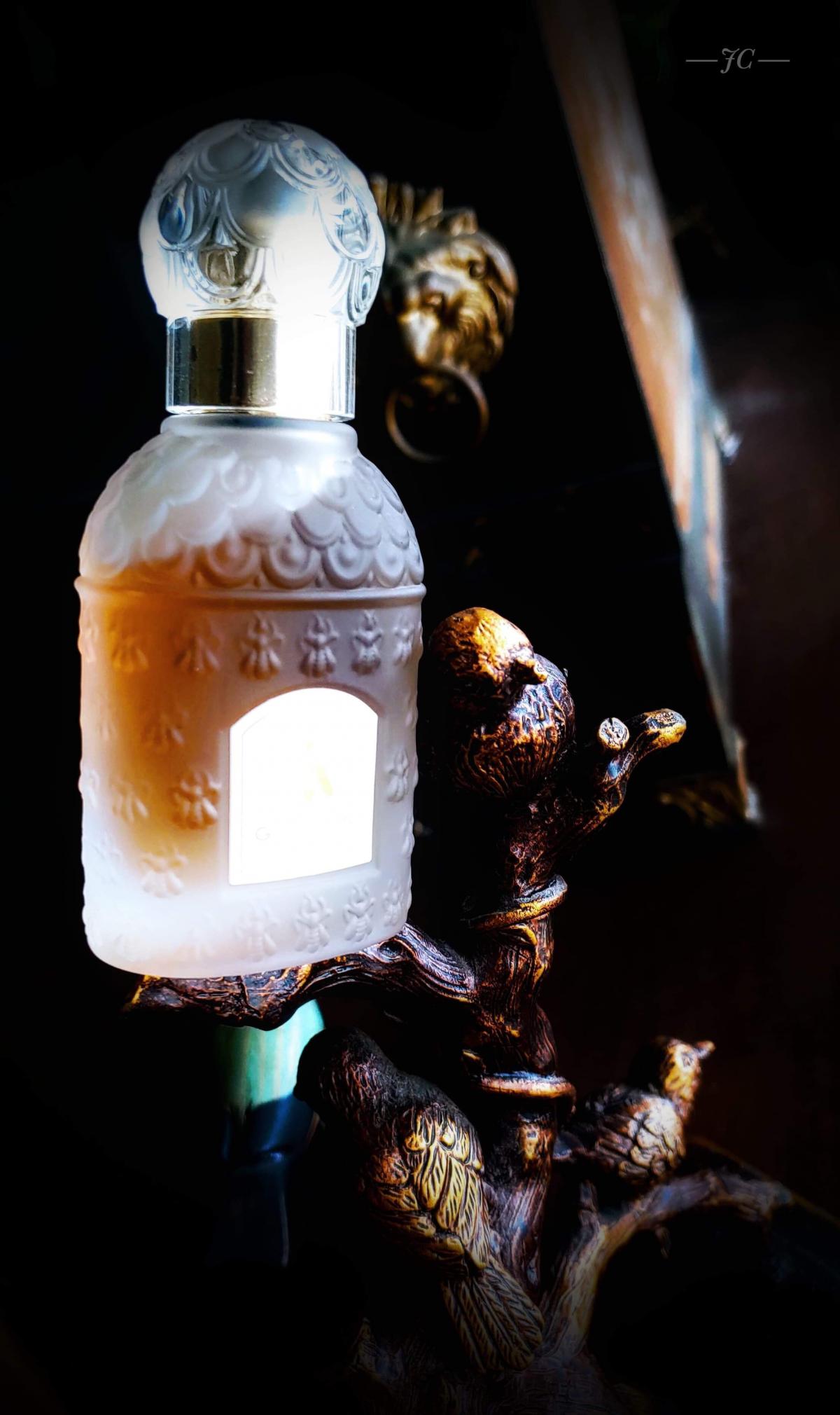 Iris Ganache Guerlain perfume - a fragrance for women 2007