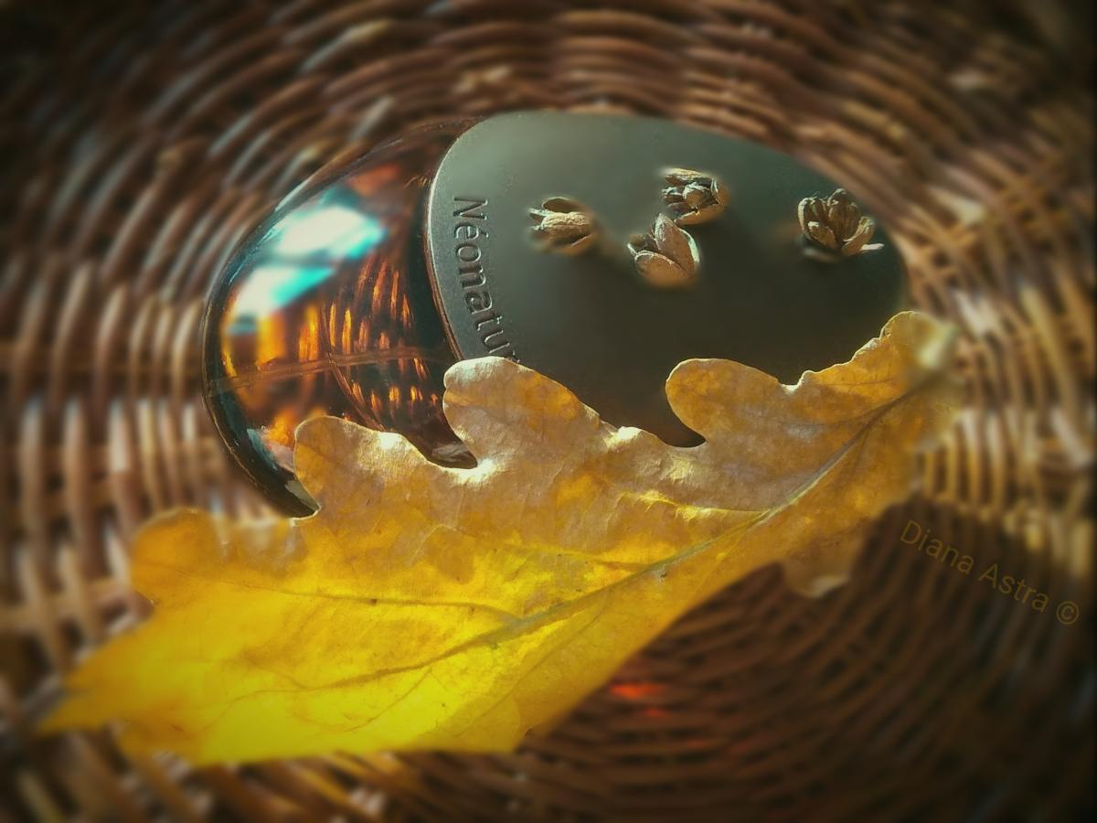 Neonatura Cocoon Yves Rocher perfume - a fragrance for women 2004