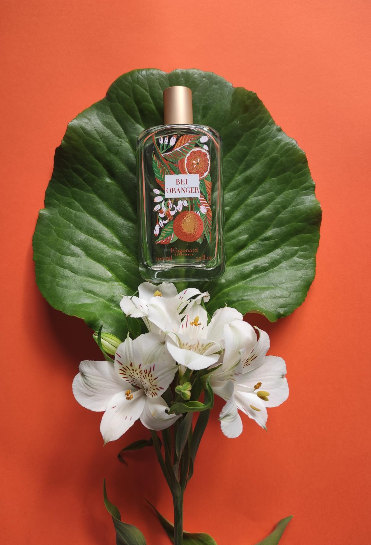 Bel Oranger Fragonard perfume a new fragrance for women and men 2023