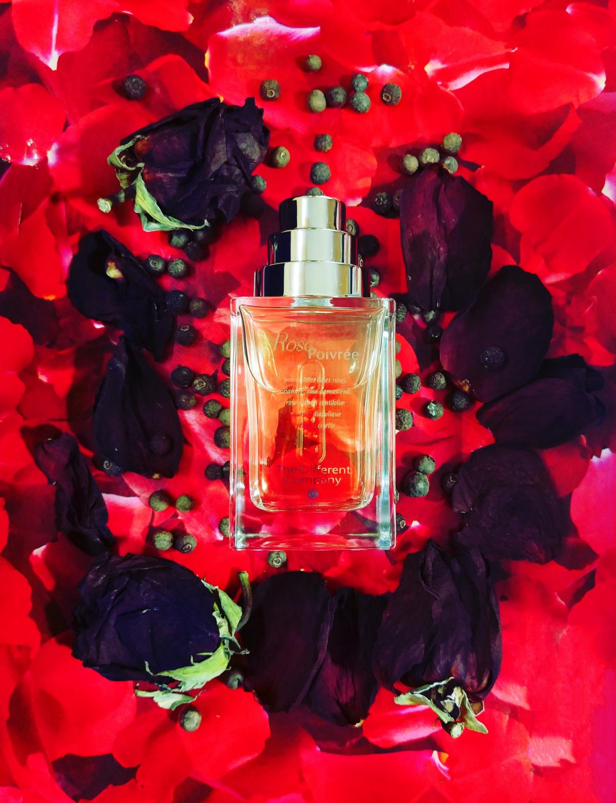 Rose Poivrée (2020) The Different Company perfume - a fragrance for ...