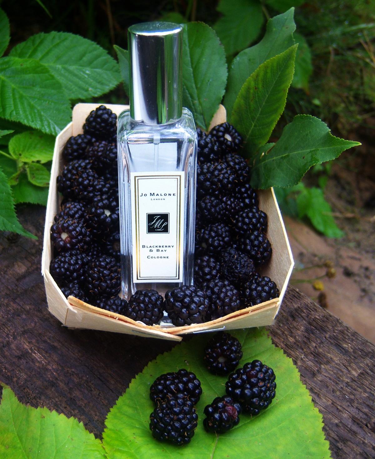 Blackberry & Bay Jo Malone London perfume - a fragrance for women 2012