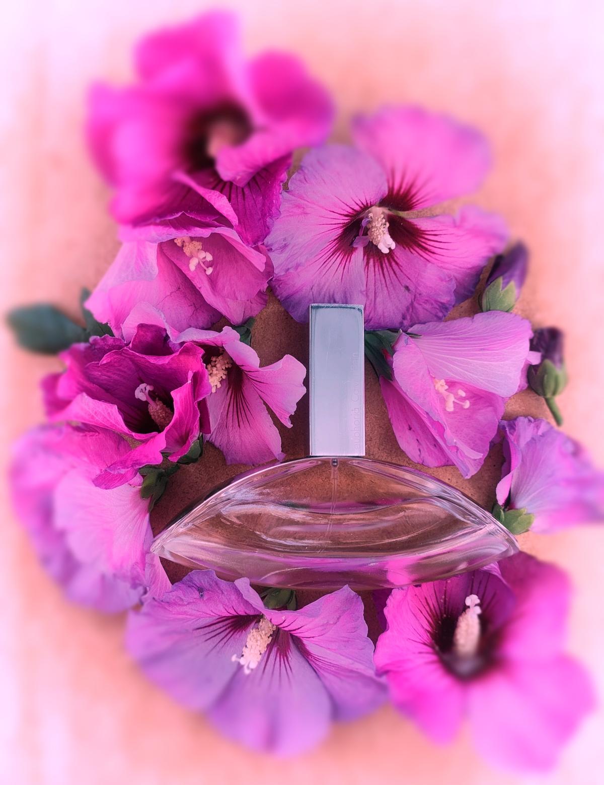 Euphoria Eau de Toilette Calvin Klein perfume - a fragrance for women 2009