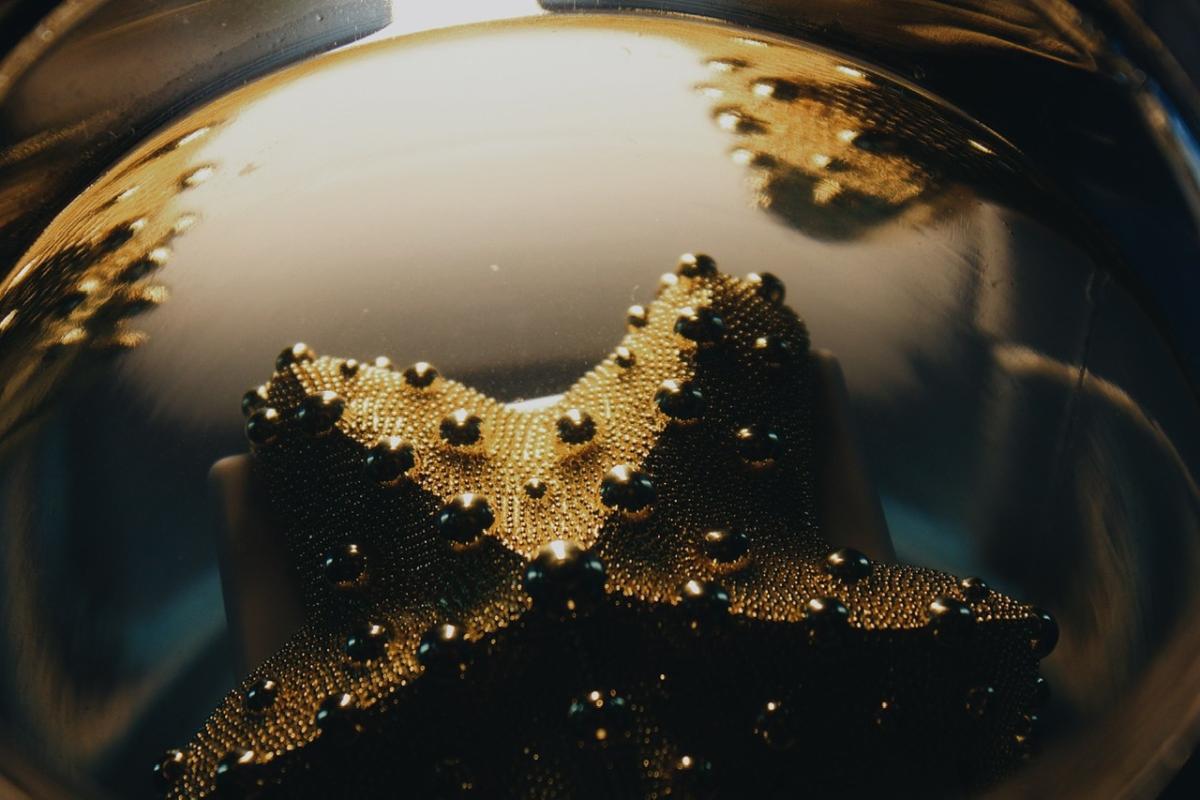 perfume atlantide tiziana