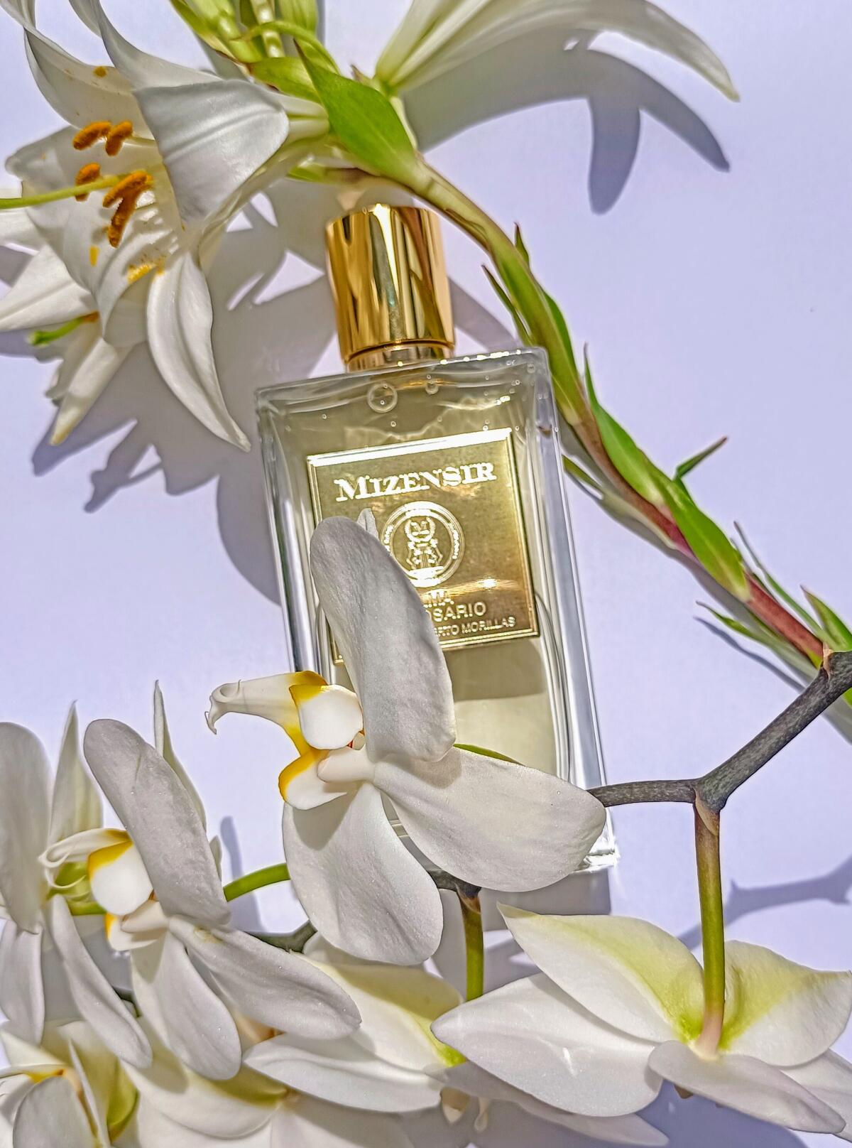 Alma de Rosario Mizensir perfume - a fragrance for women and men 2015