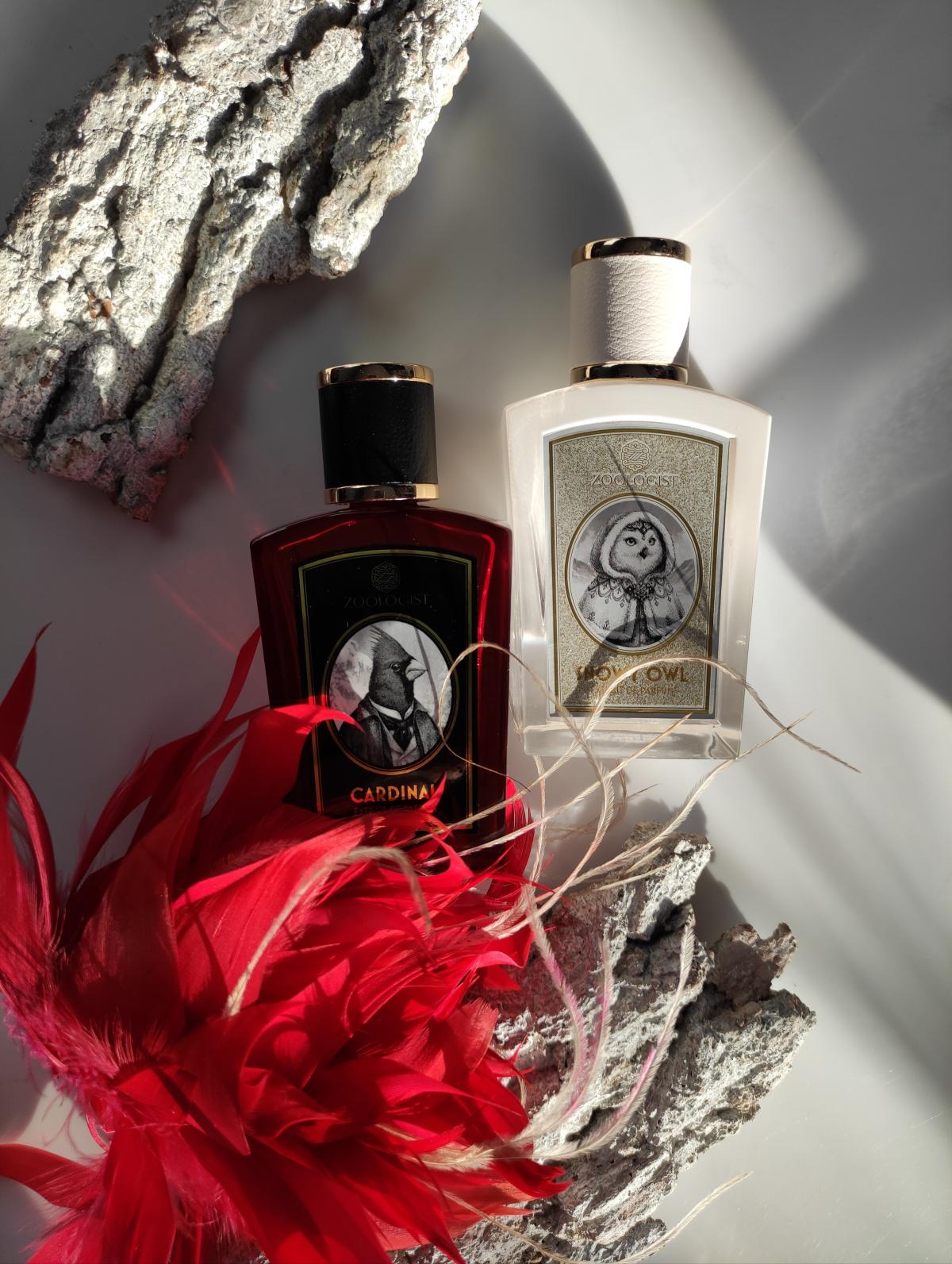 Snowy owl zoologist perfumes perfume a fragr ncia compartilh vel 2020