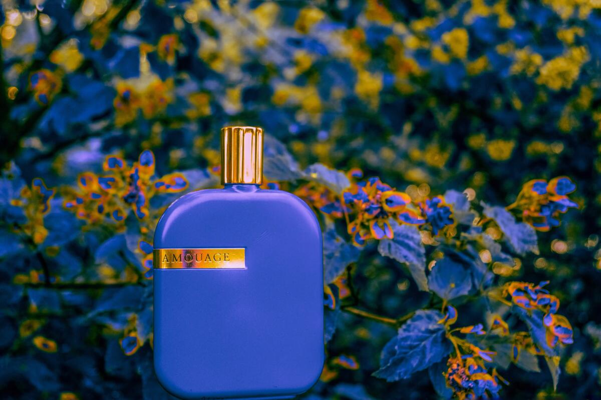 The Library Collection Opus XI Amouage perfume - a fragrance for women ...